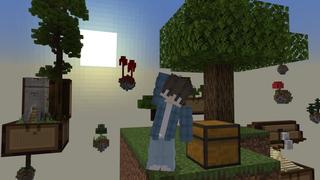 Screenshot of the Minecraft Bedrock Marketplace product Chest Skyblock created by Nitric Concepts.