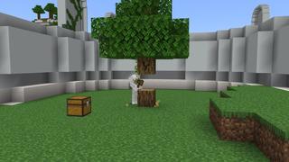 Screenshot of the Minecraft Bedrock Marketplace product Giant Toilet Skyblock created by Nitric Concepts.