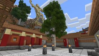 Screenshot of the Minecraft Bedrock Marketplace product Kung Fu Town created by Nitric Concepts.