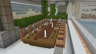 Screenshot of the Minecraft Bedrock Marketplace product Millionaire Skyblock created by Nitric Concepts.