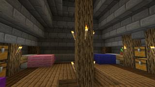 Screenshot of the Minecraft Bedrock Marketplace product Ninja Palace created by Nitric Concepts.