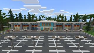 Screenshot of the Minecraft Bedrock Marketplace product Pet City created by Nitric Concepts.