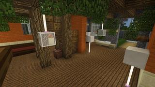 Screenshot of the Minecraft Bedrock Marketplace product Pet City created by Nitric Concepts.