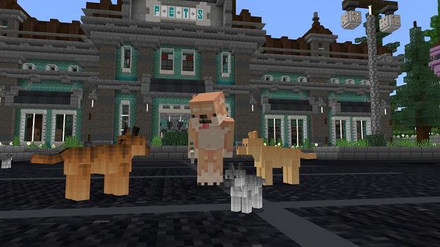 Screenshot of the Minecraft Bedrock Marketplace product Pet Store! created by Nitric Concepts.