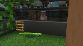Screenshot of the Minecraft Bedrock Marketplace product Pet Store! created by Nitric Concepts.