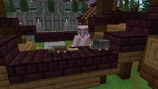 Screenshot of the Minecraft Bedrock Marketplace product Pet Store! created by Nitric Concepts.