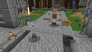 Screenshot of the Minecraft Bedrock Marketplace product Pet Store! created by Nitric Concepts.