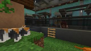Screenshot of the Minecraft Bedrock Marketplace product Pet Store! created by Nitric Concepts.