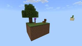 Screenshot of the Minecraft Bedrock Marketplace product Random Item Skyblock created by Nitric Concepts.