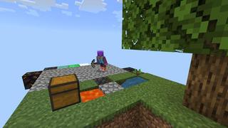 Screenshot of the Minecraft Bedrock Marketplace product Random Item Skyblock created by Nitric Concepts.