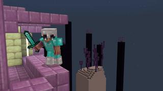 Screenshot of the Minecraft Bedrock Marketplace product Skyblock Chunk Biomes created by Nitric Concepts.