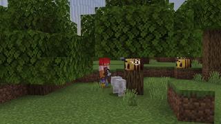 Screenshot of the Minecraft Bedrock Marketplace product Trapped in a Dome created by Nitric Concepts.