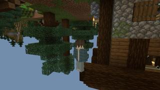 Screenshot of the Minecraft Bedrock Marketplace product Upside Down Survival created by Nitric Concepts.