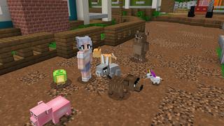 Screenshot of the Minecraft Bedrock Marketplace product Wacky Animals created by Nitric Concepts.