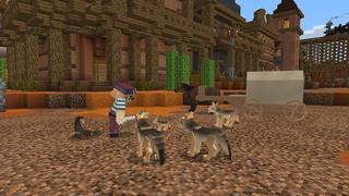 Screenshot of the Minecraft Bedrock Marketplace product Western Wonder created by Nitric Concepts.