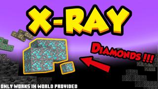 Thumbnail of the Minecraft Bedrock Marketplace product X-Ray created by Nitric Concepts.
