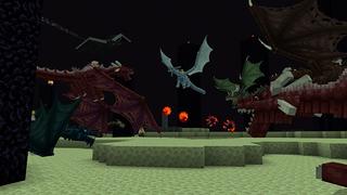 Screenshot of the Minecraft Bedrock Marketplace product Dragons In Survival created by Norvale.