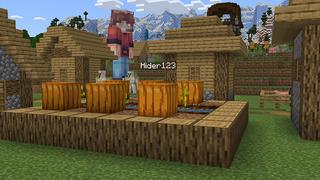 Screenshot of the Minecraft Bedrock Marketplace product Morph Lab created by Norvale.