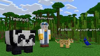 Screenshot of the Minecraft Bedrock Marketplace product Morph Lab created by Norvale.