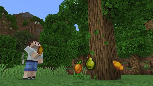Screenshot of the Minecraft Bedrock Marketplace product FOOD EXPANSION created by Novasoft.