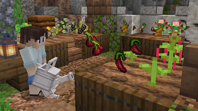 Screenshot of the Minecraft Bedrock Marketplace product FOOD EXPANSION created by Novasoft.