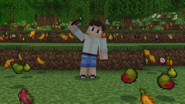 Screenshot of the Minecraft Bedrock Marketplace product FOOD EXPANSION created by Novasoft.