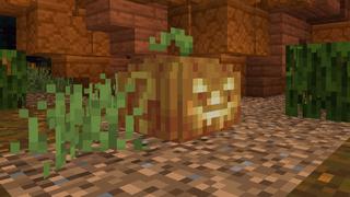 Screenshot of the Minecraft Bedrock Marketplace product Lucky Pumpkins created by Novasoft.