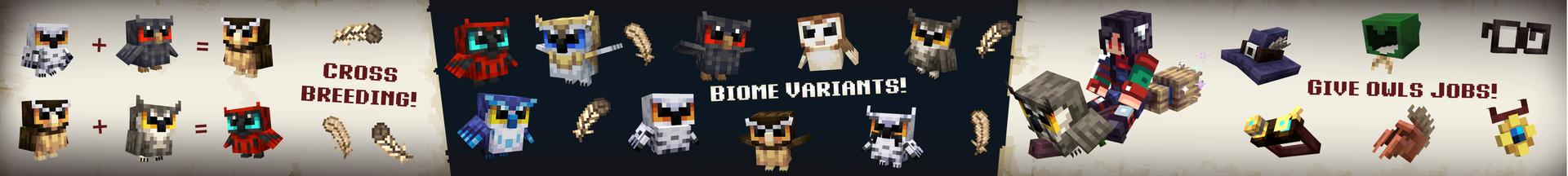 Panorama of the Minecraft Bedrock Marketplace product Owls Add-On created by Noxcrew.