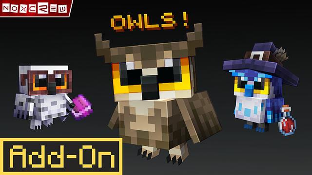 Thumbnail of the Minecraft Bedrock Marketplace product Owls Add-On created by Noxcrew.