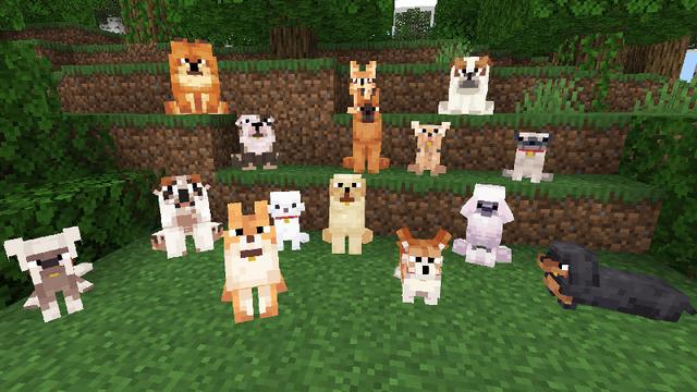 Screenshot of the Minecraft Bedrock Marketplace product Cute Dogs Add-On created by Octovon.