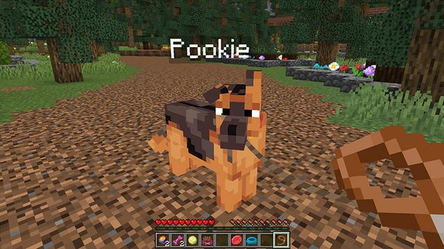 Screenshot of the Minecraft Bedrock Marketplace product Cute Dogs Add-On created by Octovon.