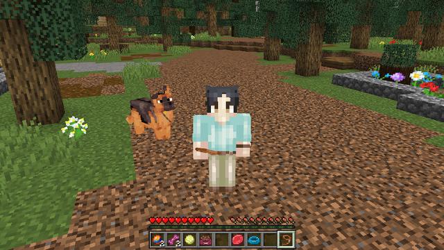Screenshot of the Minecraft Bedrock Marketplace product Cute Dogs Add-On created by Octovon.