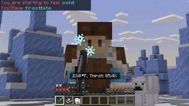 Screenshot of the Minecraft Bedrock Marketplace product Difficulty: Brutal Add-On created by Octovon.