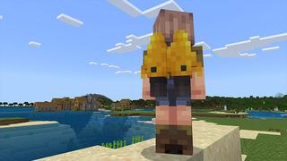 Screenshot of the Minecraft Bedrock Marketplace product Jetpacks Add-On created by Octovon.