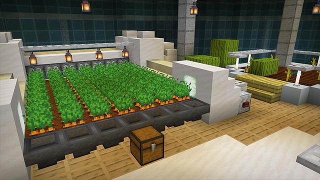 Screenshot of the Minecraft Bedrock Marketplace product Underwater World created by Octovon.