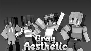 Thumbnail of the Minecraft Bedrock Marketplace product Gray Aesthetic created by Odyssey Builds.