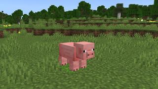 Screenshot of the Minecraft Bedrock Marketplace product Hidden Pig Bunker created by Odyssey Builds.