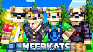Thumbnail of the Minecraft Bedrock Marketplace product Meerkats created by Odyssey Builds.
