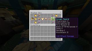 Screenshot of the Minecraft Bedrock Marketplace product Water Temple created by Odyssey Builds.