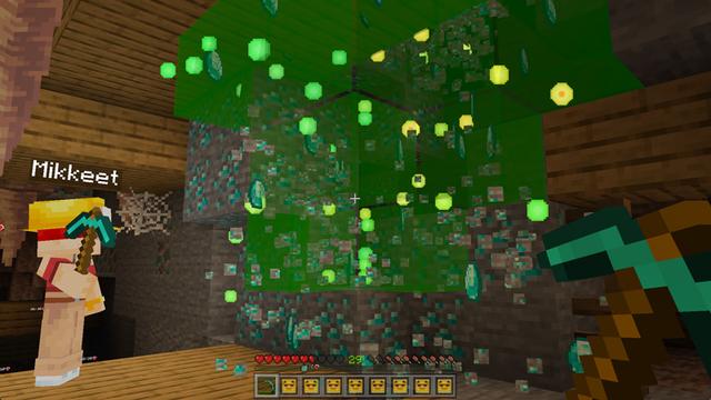 Screenshot of the Minecraft Bedrock Marketplace product Plenty Of Essentials Add-On created by Owls Cubed.