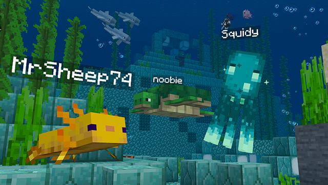 Screenshot of the Minecraft Bedrock Marketplace product MORPH PACK created by XP GAMES.