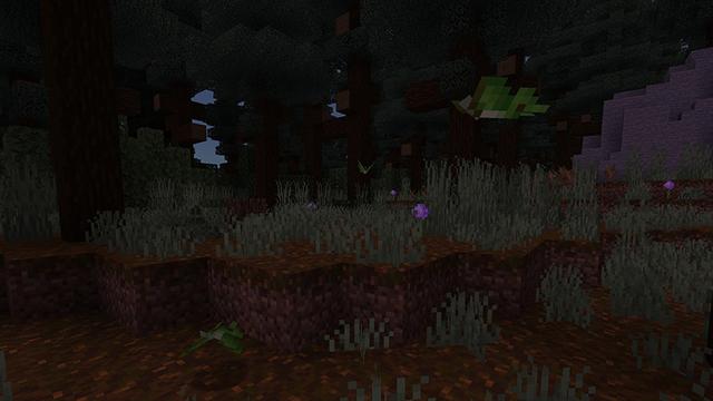 Screenshot of the Minecraft Bedrock Marketplace product Butterflies & Moths Add-On created by Paragonia.