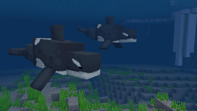 Screenshot of the Minecraft Bedrock Marketplace product Aquatic Life Add-On created by Pathway Studios.