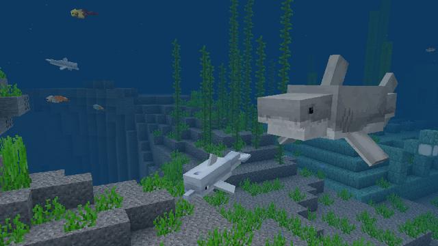 Screenshot of the Minecraft Bedrock Marketplace product Aquatic Life Add-On created by Pathway Studios.