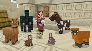 Screenshot of the Minecraft Bedrock Marketplace product Medieval - Old Age Textures created by Pathway Studios.