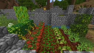 Screenshot of the Minecraft Bedrock Marketplace product Pam's HarvestCraft: Verão created by Pathway Studios.