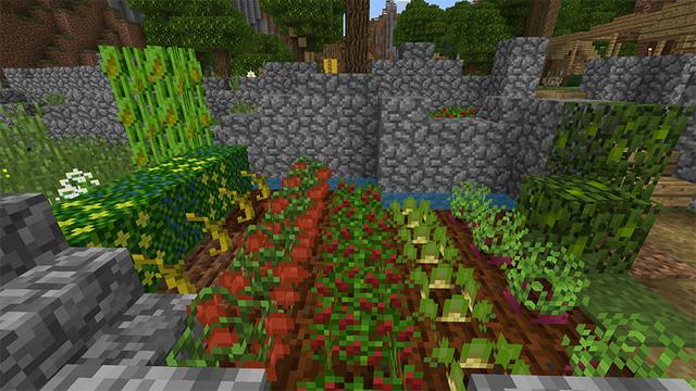 Screenshot of the Minecraft Bedrock Marketplace product Pam's HarvestCraft: Summer created by Pathway Studios.