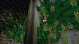 Screenshot of the Minecraft Bedrock Marketplace product Royal Delight - Soft Textures created by Pathway Studios.