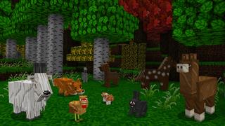 Screenshot of the Minecraft Bedrock Marketplace product RPG - Legendärer Krieger created by Pathway Studios.