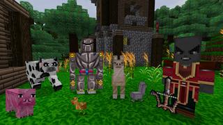 Screenshot of the Minecraft Bedrock Marketplace product RPG - Legendärer Krieger created by Pathway Studios.